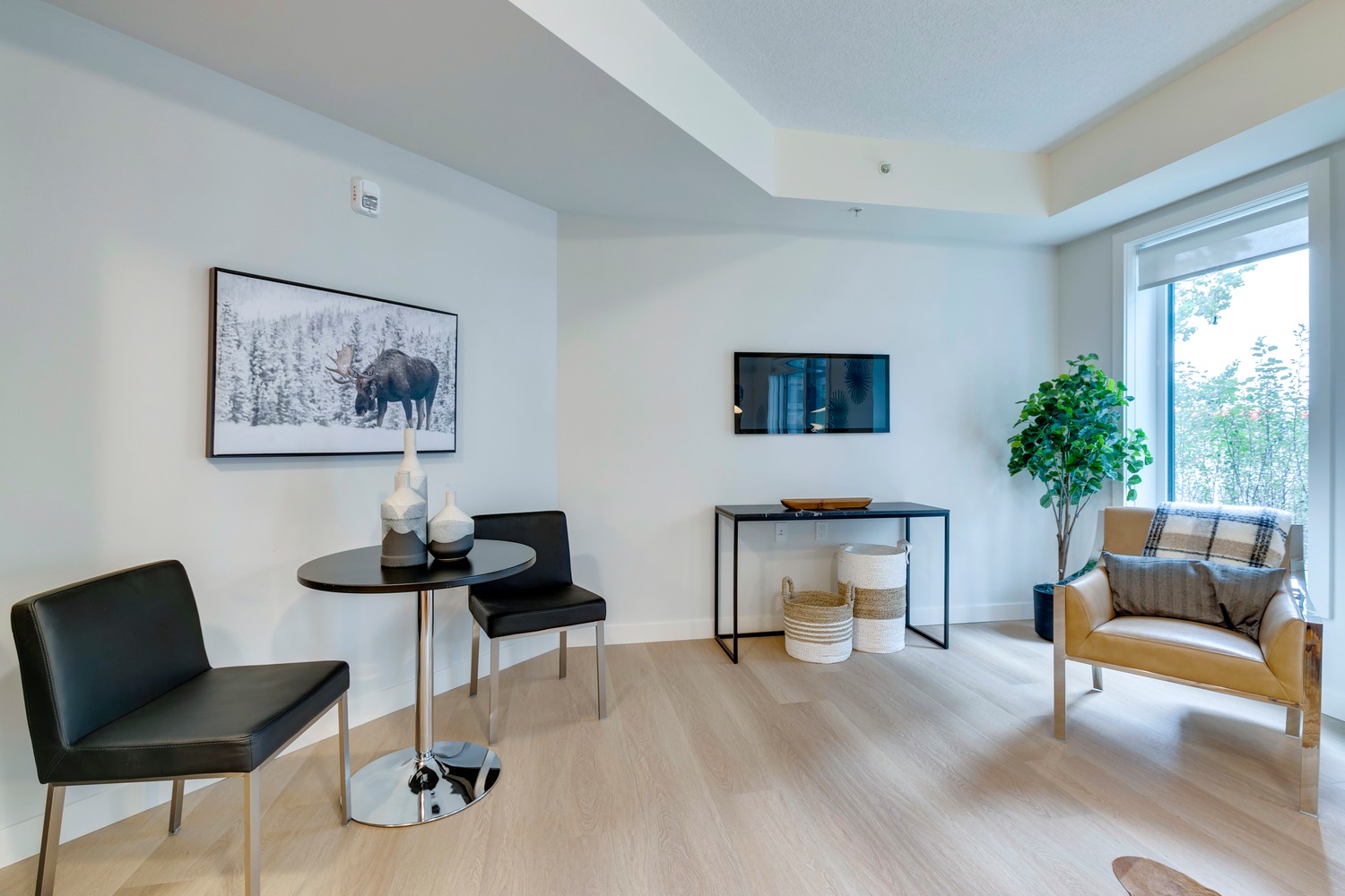 One Bedroom Suite at Trico LivingWell SUITE 115\Independent Living - Unit 115 - 1 Bedroom Gallery