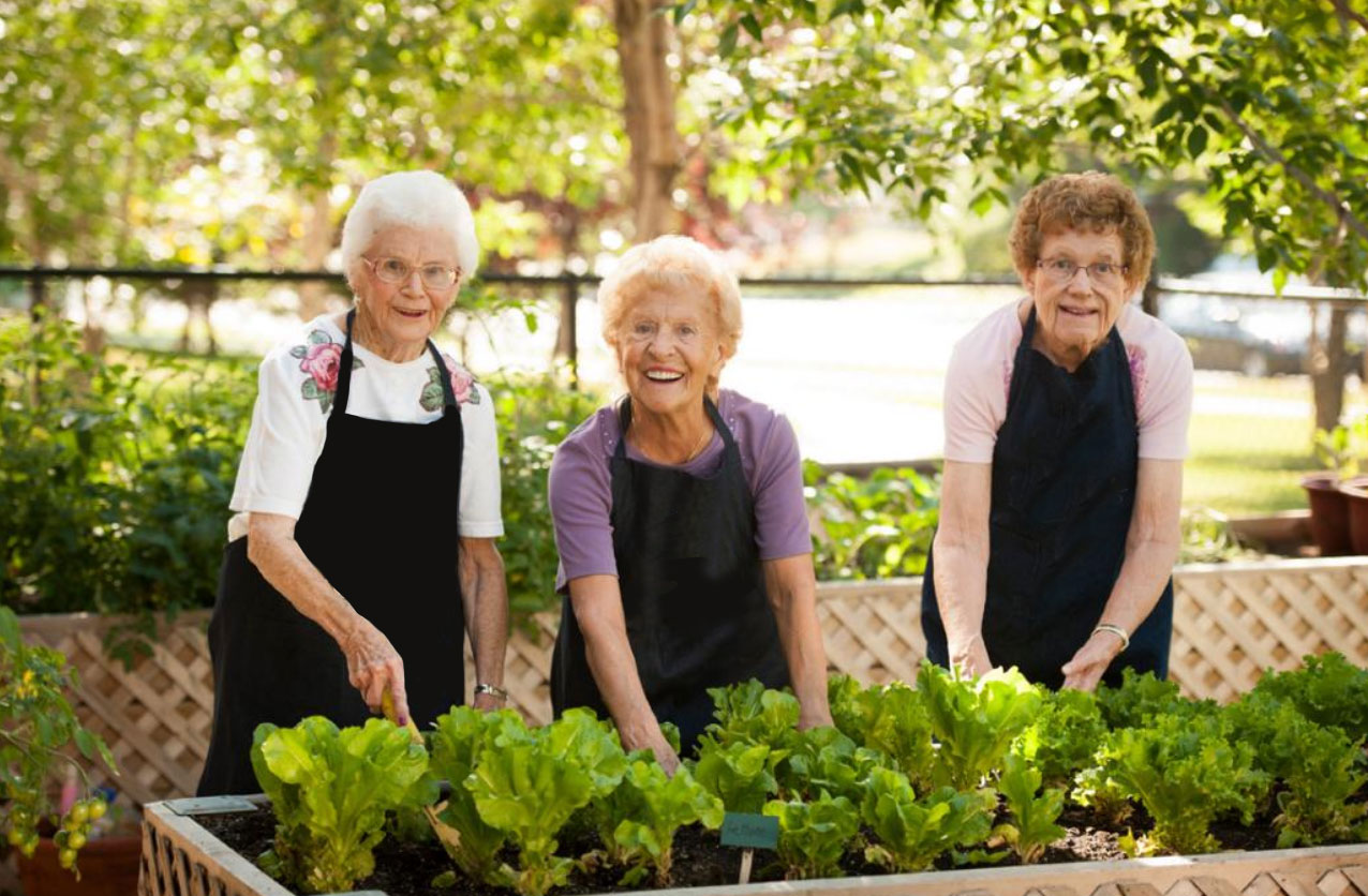 Trico LivingWell lifestyle leasing consultant