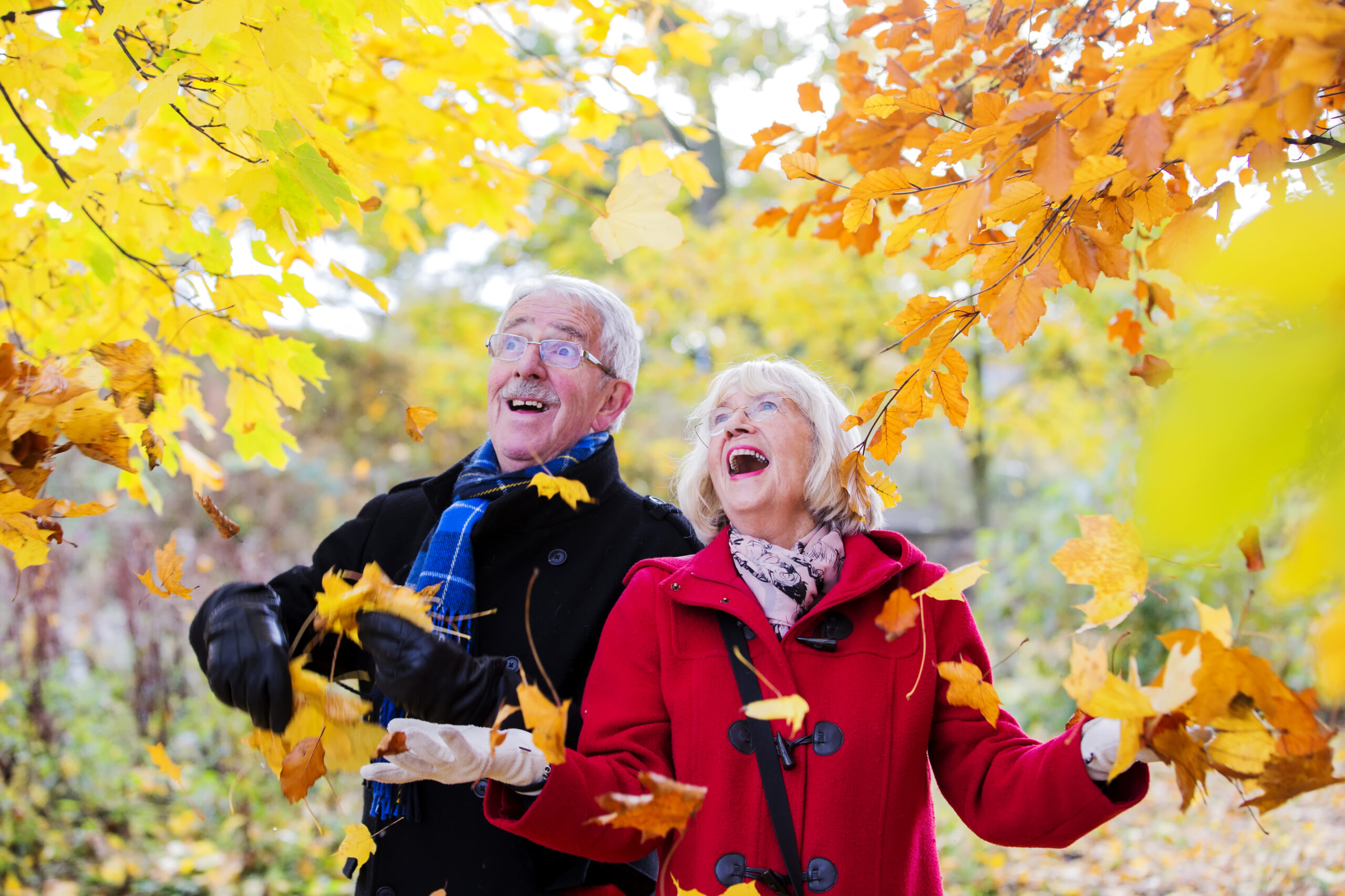 Autumn Preparation Tips For Seniors