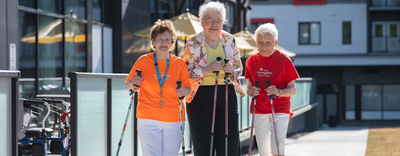 Programming & Activities